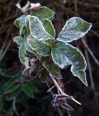 DSCF0514_1.jpg