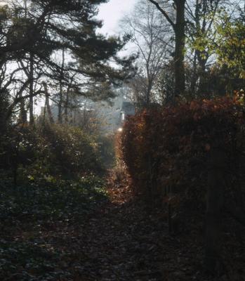 DSCF0519_1.jpg