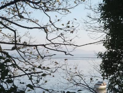 DSCF0523_1.jpg