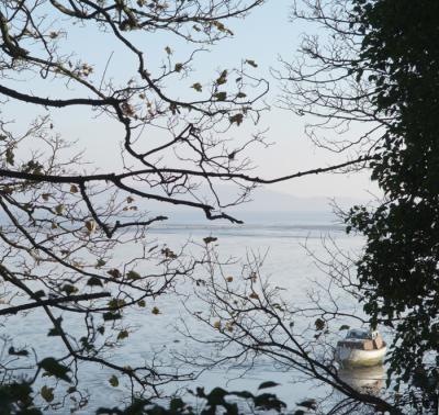 DSCF0524_1.jpg