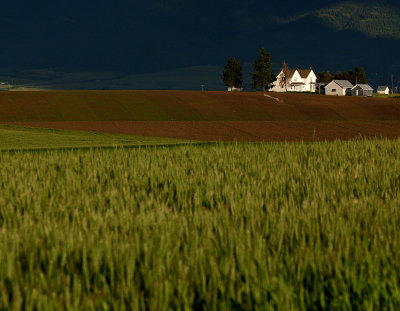 Farm House
