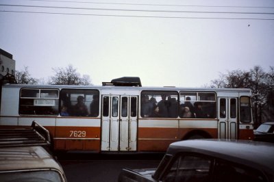 66.jpg