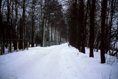 86.jpg