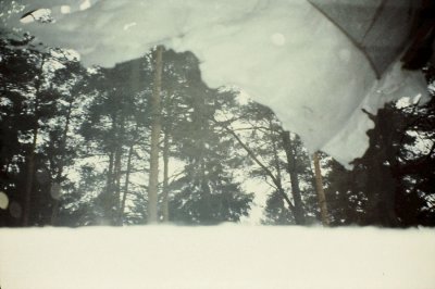 96.jpg