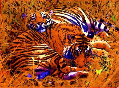 tigers 4x.jpg
