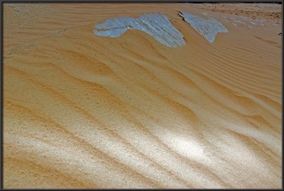 Dunes in Nachal Lavan (White River)