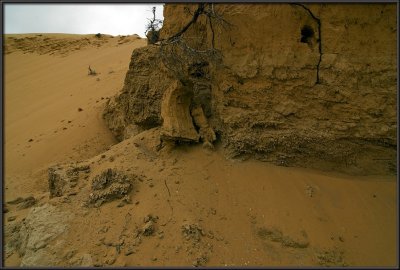 Dunes in Nachal Lavan (White River)