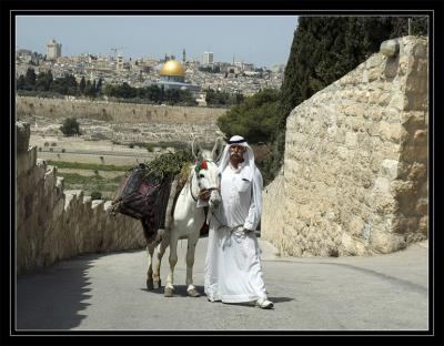 Jerusalem - Mt. of Olives