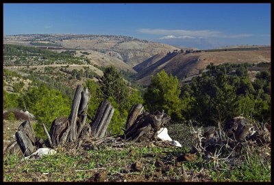 Mt. Hermon view from mt. Puah - Upper Galilee