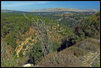 Mt. Puah view, Upper Galilee