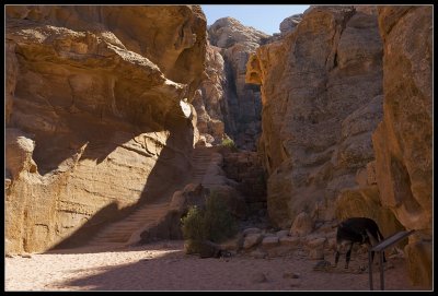 Wadi (riverbed) Al-Farasa