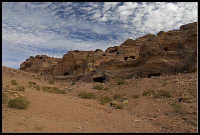 Wadi (riverbed) Al-Farasa