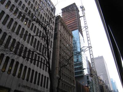 IMG_7503.jpg