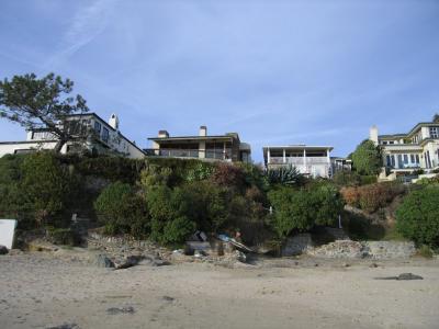 IMG_7881.jpg