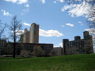 113.jpg