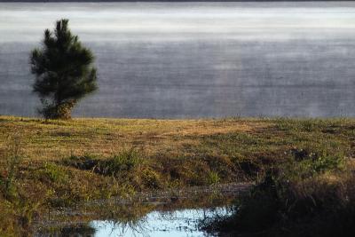 foggy lake