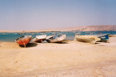 009 - Paracas