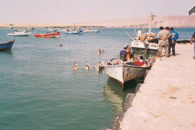 010 - Paracas