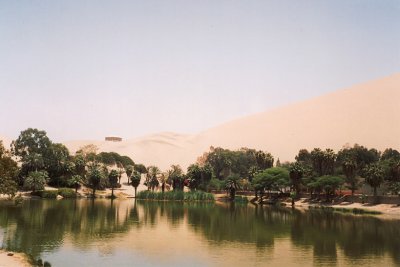 019 - Oasis