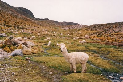 045 - High pass