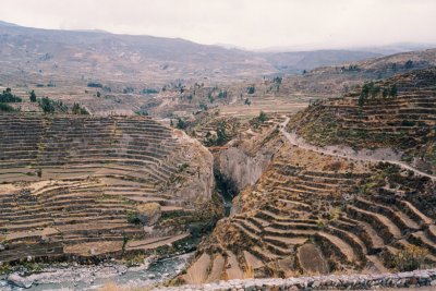 050 - Colca Canyon