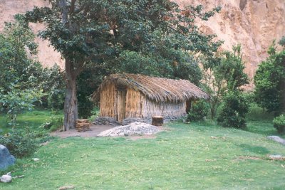 056 - Oasis in Colca Canyon