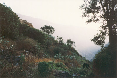 057 - Oasis in Colca Canyon