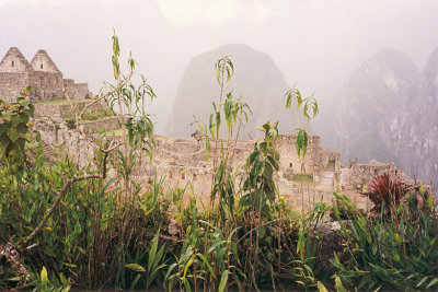 090 - Machu Picchu