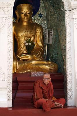 010 - Monk, Swedagon pagoda
