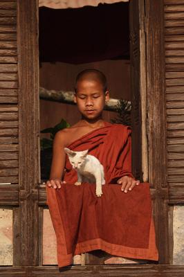 071 - Monk and his pet cat, Nyaungswe