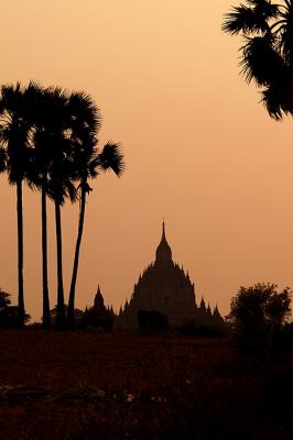 111 - Htilominlo at dusk, Bagan