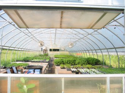 Starter Greenhouse