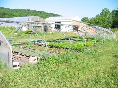 Cold Frame