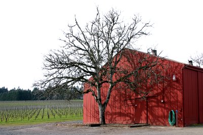 Red Shed