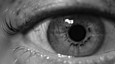 09-05-09 Macro_2810bw.jpg