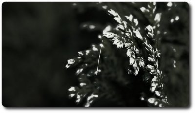 g3/55/513255/3/122112379.DwjuDkum.jpg