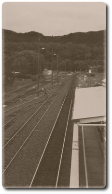 murrurundi train station 2.jpg