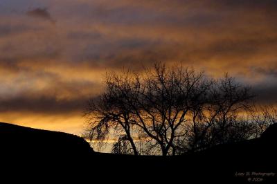 Canyon Sunset