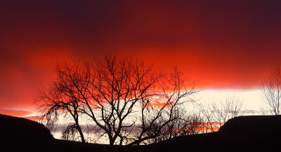 Look, Look, Lookin' Out Our Back Door (apologies to CCR)