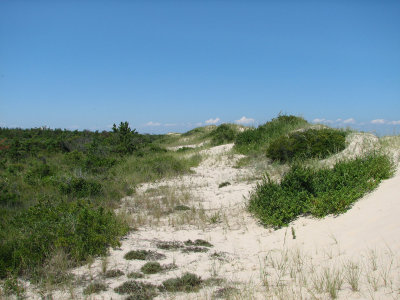 Behind the dunes