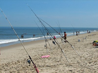 Line of fishing rods