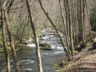 Little River flows downhill beside the trail