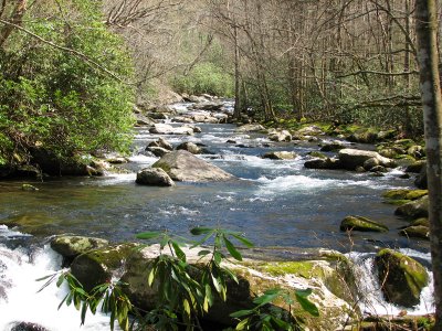 A typical mountain river