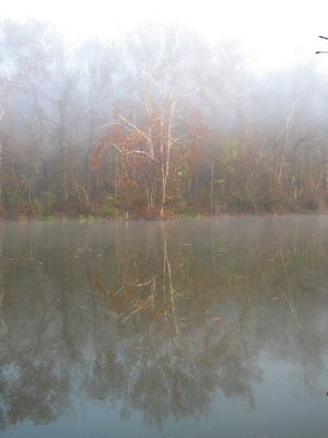 Reflection