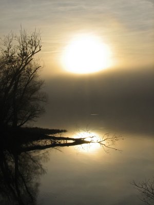 The sun trying to cut through the fog