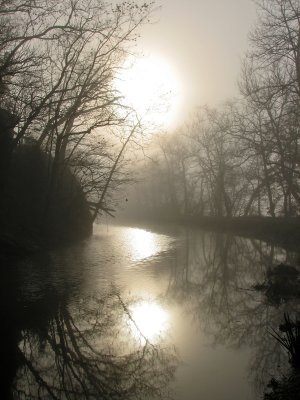 Strange forms over the canal