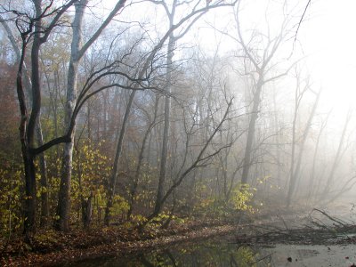 Vanishing in the fog