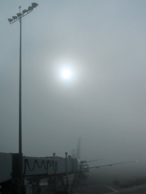 Morning fog at LAX