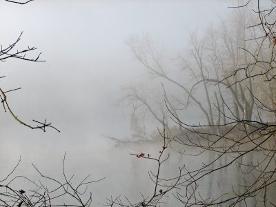 Forms in the middle of the river