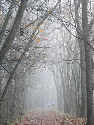Out for a walk
